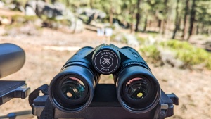 Best Binoculars for Bird Watching Beginners - Essential Guide for 2025
