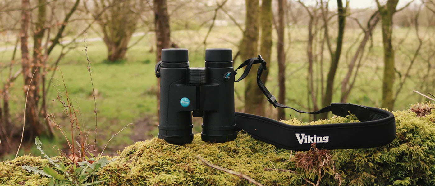 Best Binoculars for Bird Watching Beginners – Essential Guide for 2025