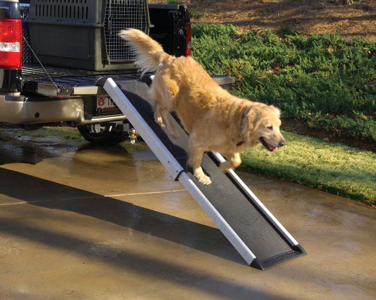 Choosing and Using a Dog Ramp – Keep Your Furry Friend Safe and Comfortable