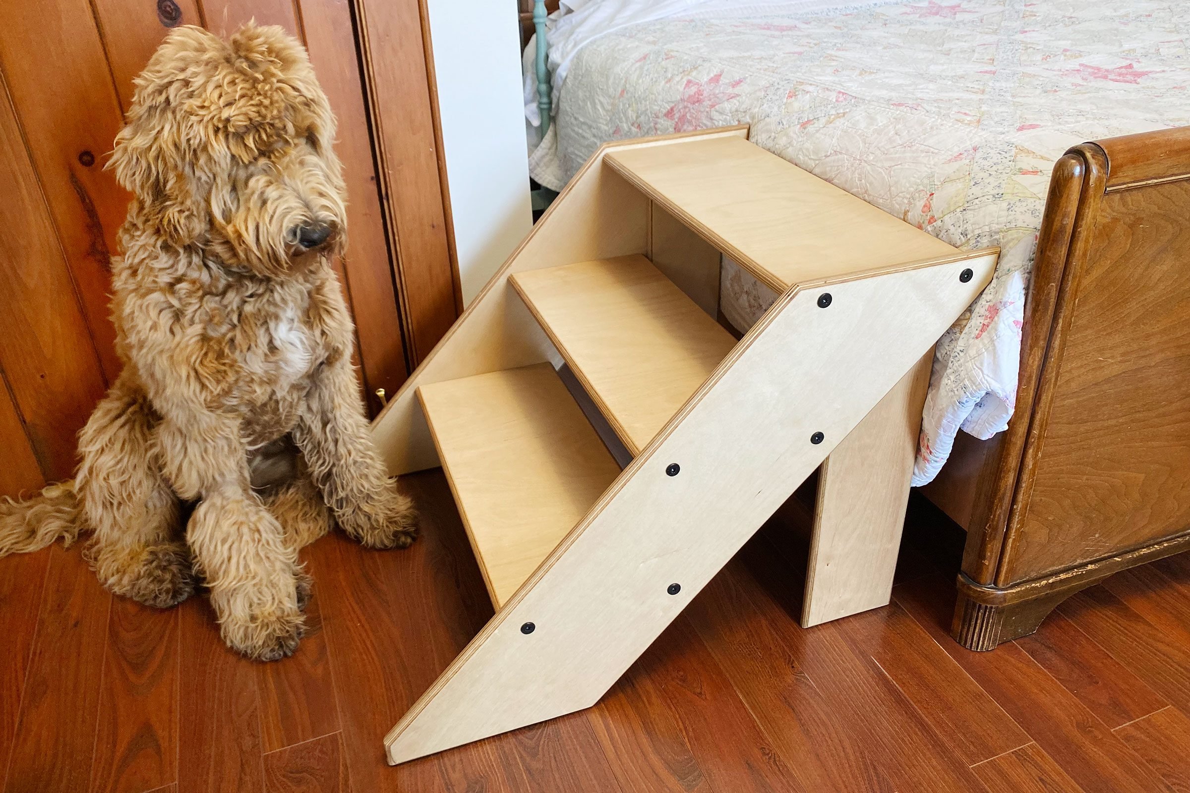 Choosing and Using a Dog Ramp – Keep Your Furry Friend Safe and Comfortable