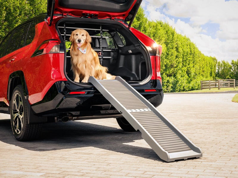 Choosing and Using a Dog Ramp – Keep Your Furry Friend Safe and Comfortable