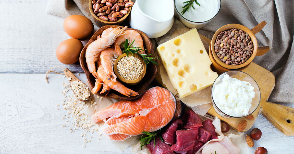 Unlocking the Power of Protein Powders – Your Ultimate Guide to Top-Rated Supplements of 2025