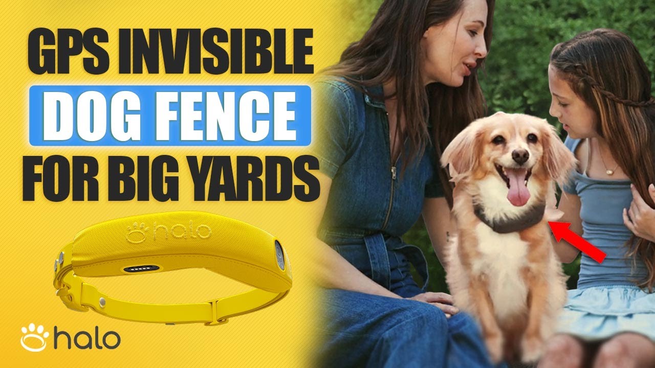 Wireless Dog Fence for Large Yards – Quora Review Buyer’s Guide