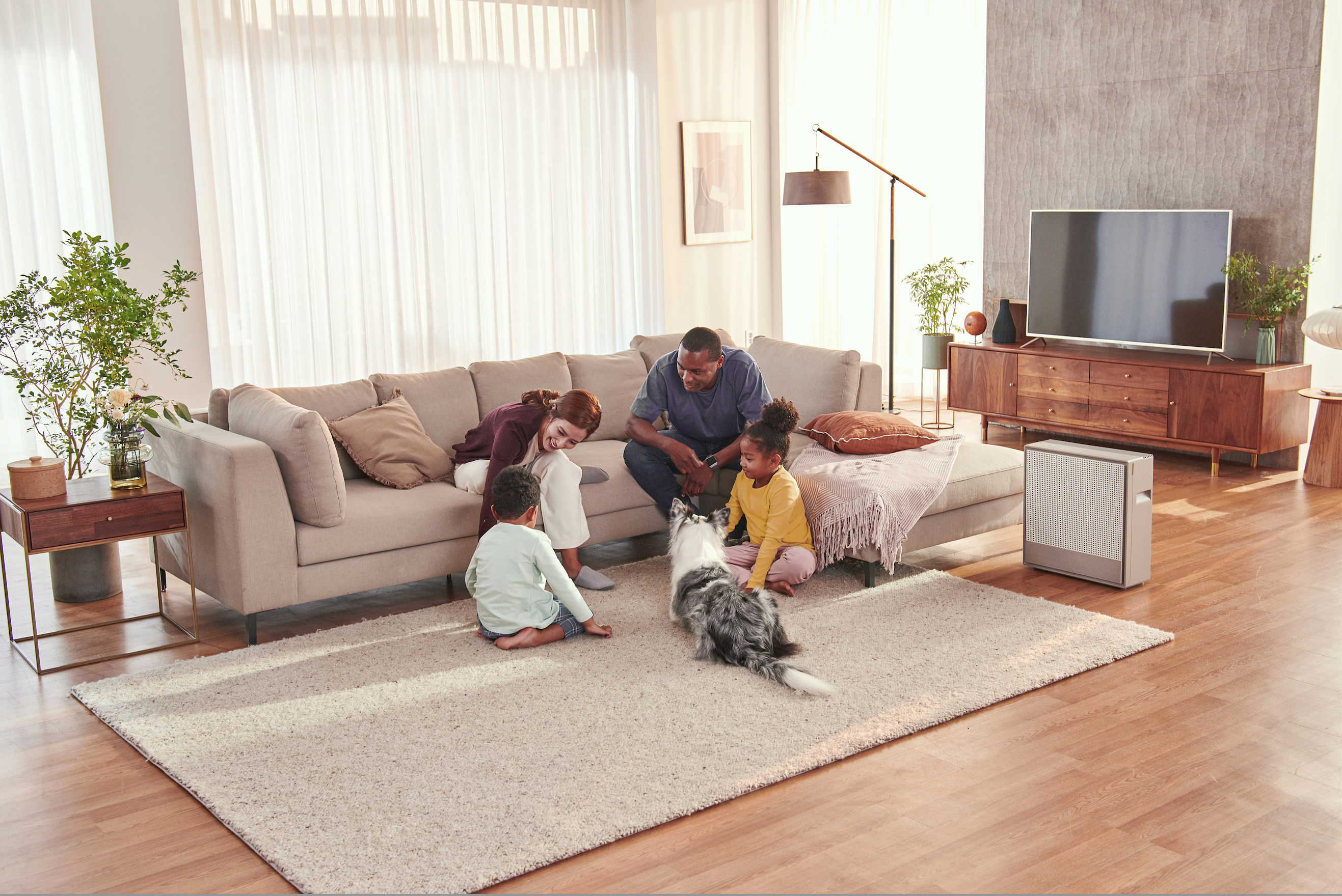 Air Purifiers for Pets – Breathe Easier in a Pet-Friendly Home