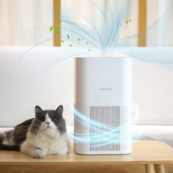 Air Purifiers for Pets – Breathe Easier in a Pet-Friendly Home