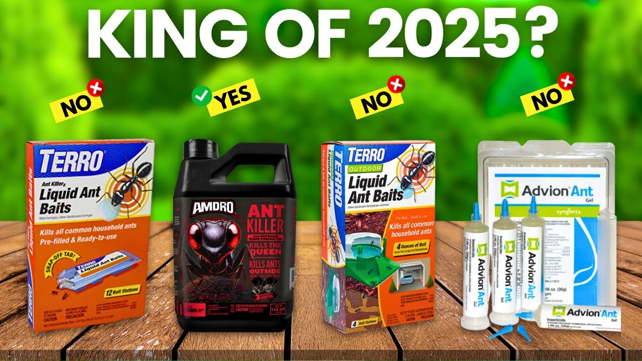 Discover the Top-Rated Best Ant Killer for a Pest-Free Home in 2025