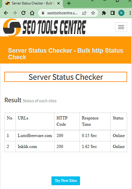 Ensuring Your Website Never Goes Dark - Mastering Website Status Checkers for Continuous Uptime