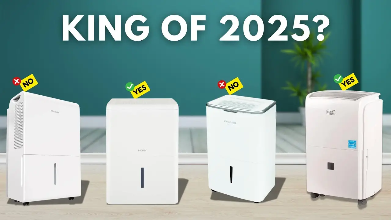 The Best Commercial Dehumidifiers of 2025: Your Ultimate Guide