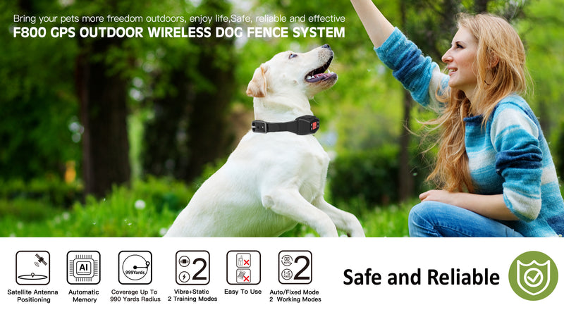 Top 7 Best Wireless Dog Fences 2025 – Reviews & Latest Prices