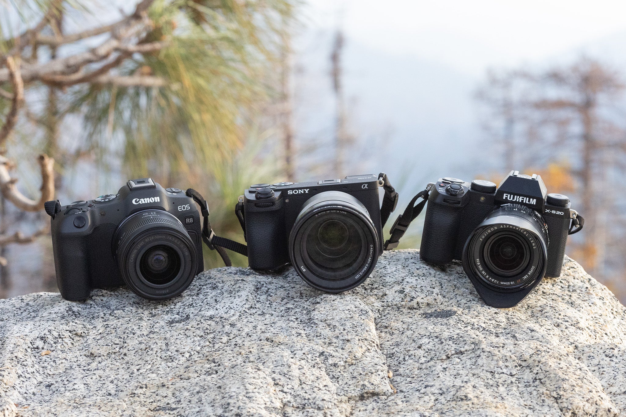 Travel Cameras Capture Every Adventure with Confidence