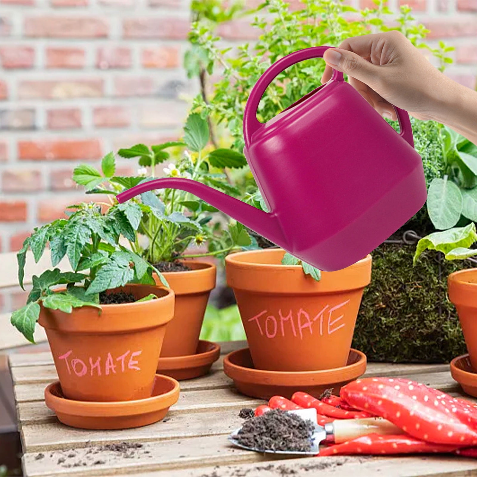 Watering Cans — How to Choose the Perfect One for Indoor Plants and More