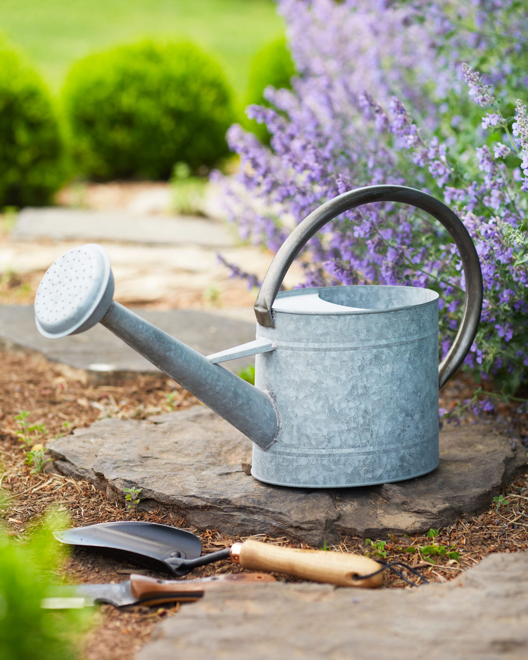 Watering Cans – Innovative Hacks to Perfect Your Garden