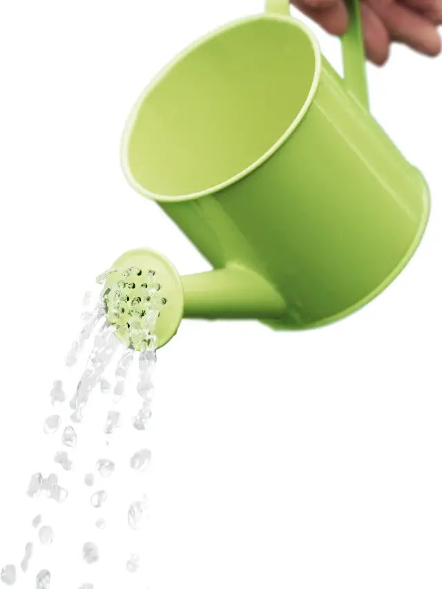 Watering Cans – Innovative Hacks to Perfect Your Garden