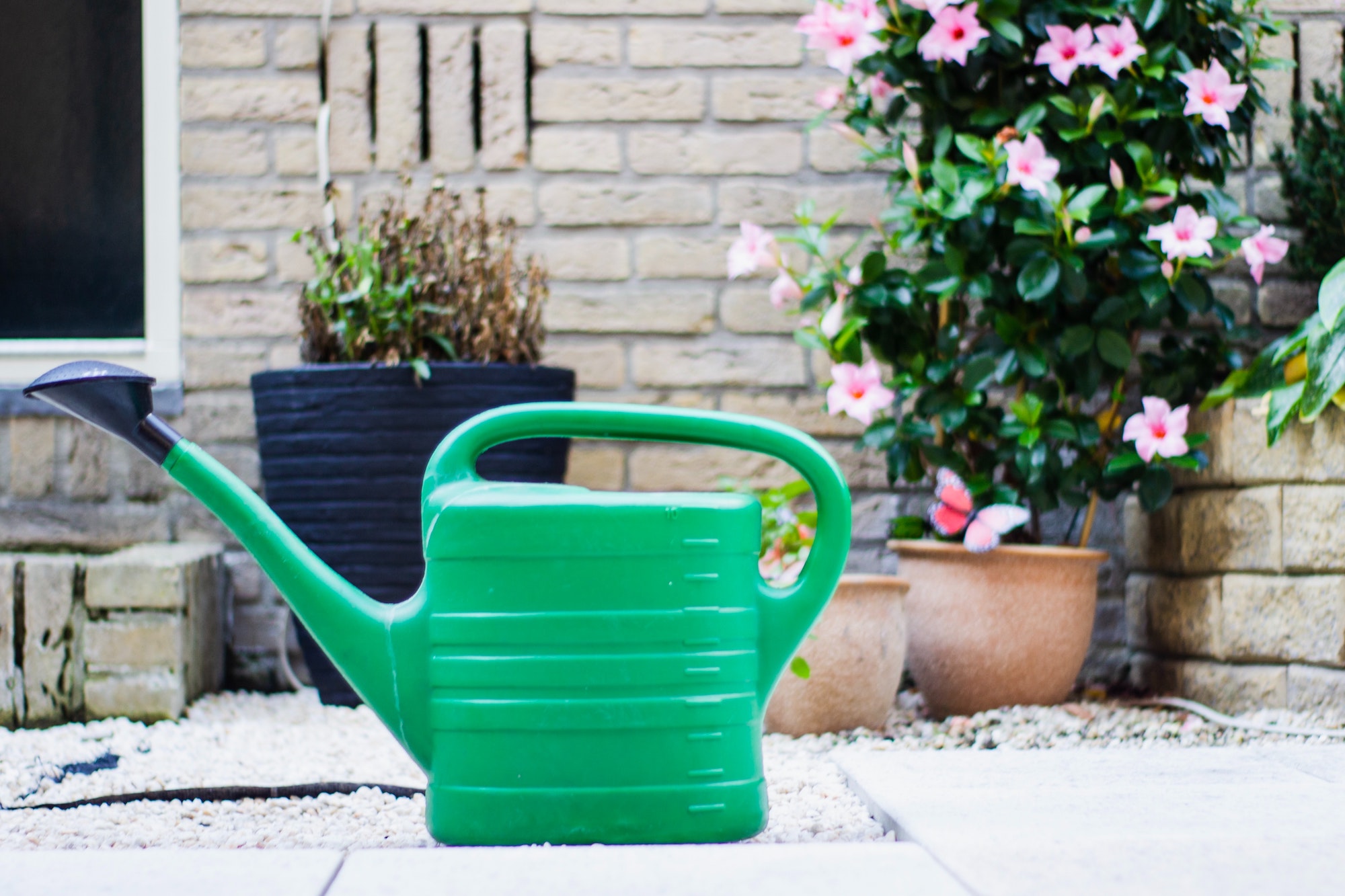 Watering Cans – Innovative Hacks to Perfect Your Garden